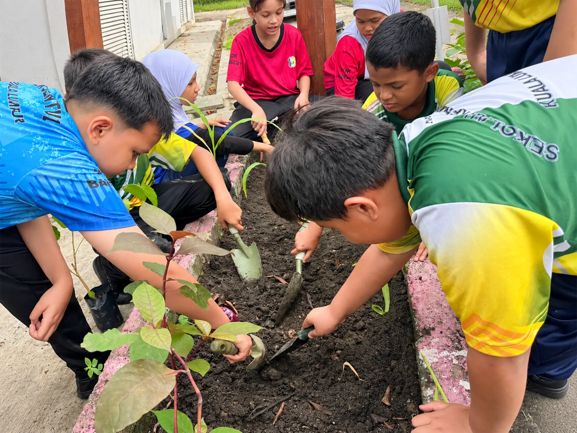 Schoolchildren planting seedlings together in a garden bed
