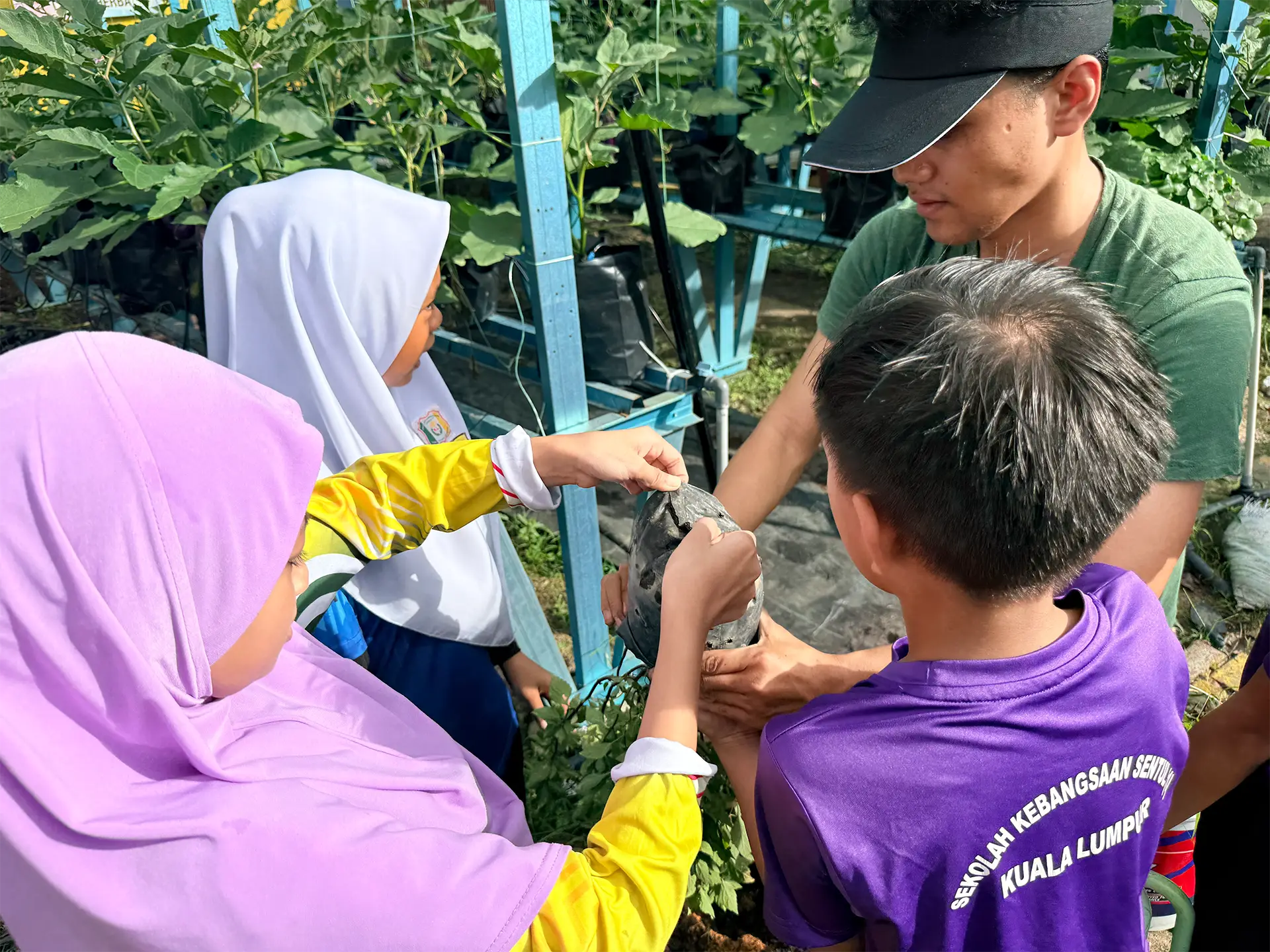 Schoolchildren and a facilitator working together with a planting bag in a school garden