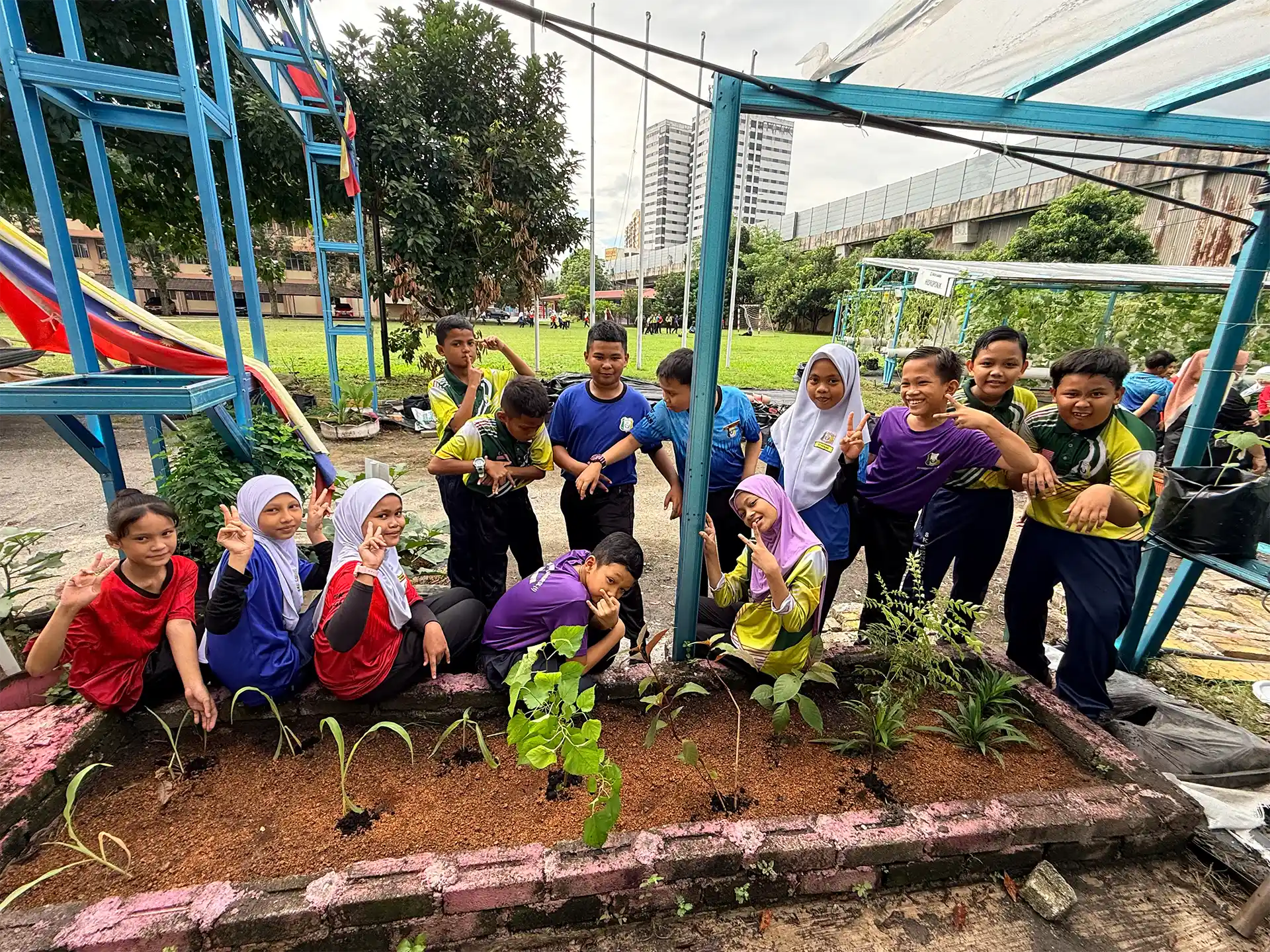 Schoolchildren gathered around planted garden beds