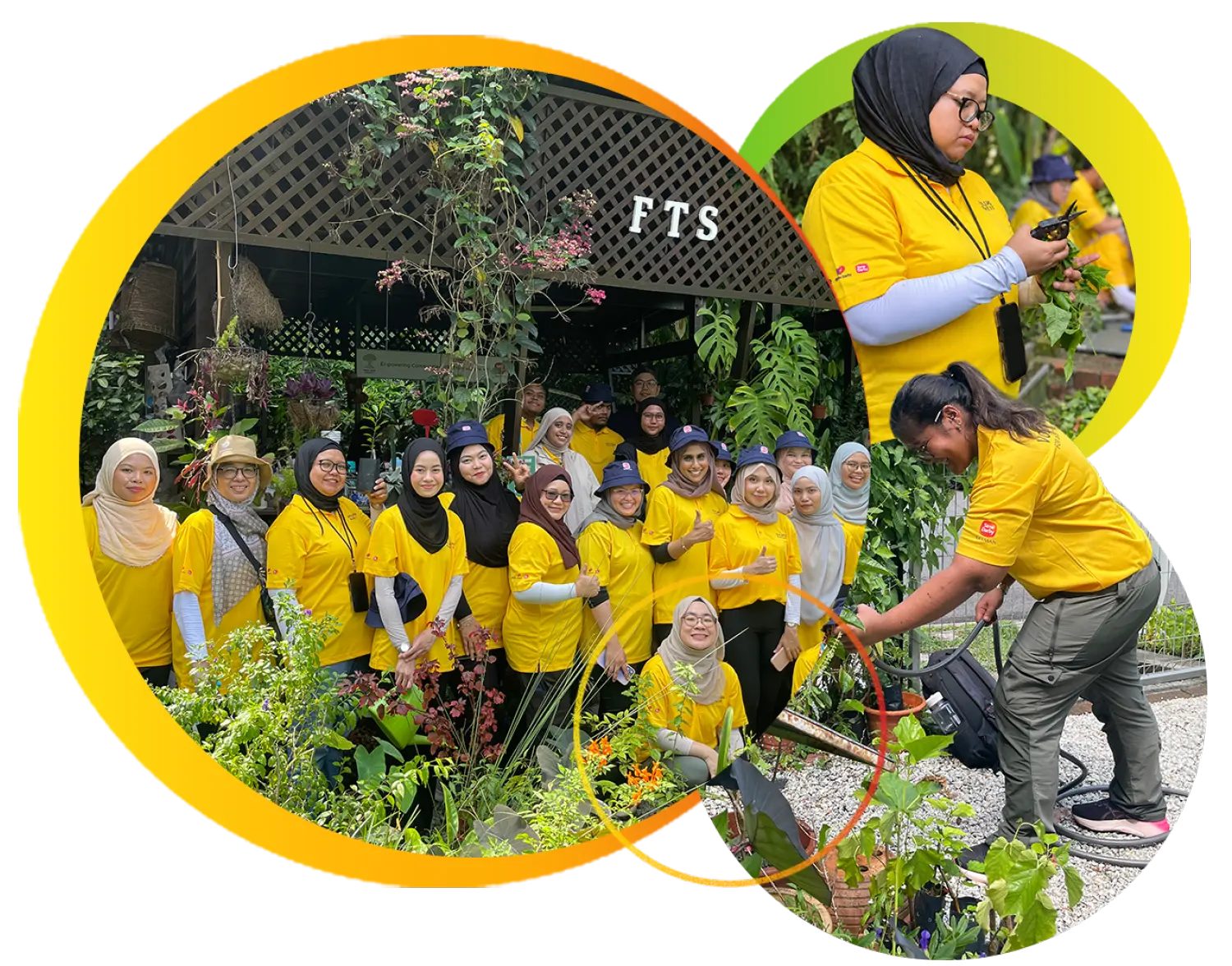 YSD employee volunteers taking part in environmental conservation activities
